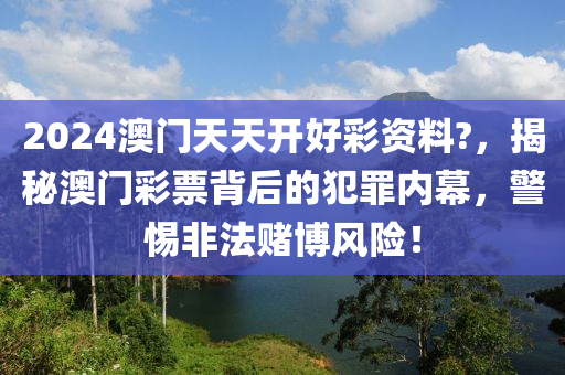 2024澳门天天开好彩资料?，揭秘澳门彩票背后的犯罪内幕，警惕非法赌博风险！
