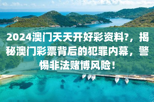 2024澳门天天开好彩资料?，揭秘澳门彩票背后的犯罪内幕，警惕非法赌博风险！