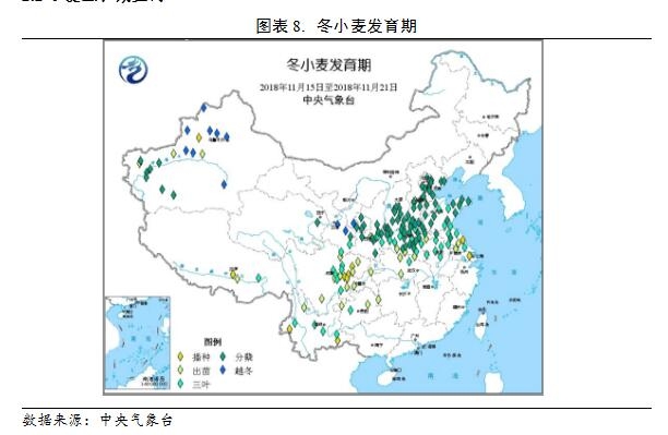 河北小麦最新价格动态及市场分析，河北小麦最新价格动态与市场分析报告