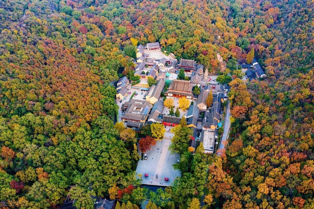南京旅游最新消息今天，南京旅游最新动态速览