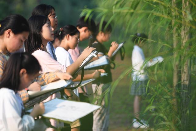 嵩县新篇，活力四射的城乡变迁，见证时代的蜕变，嵩县新貌，活力城乡变迁，映照时代巨变