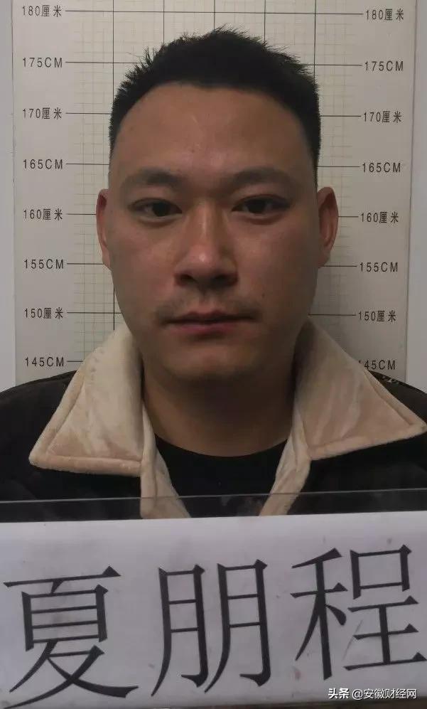 六安最新通告，共建美好家园，共享幸福生活，六安发布共建共享美好家园幸福生活最新通告