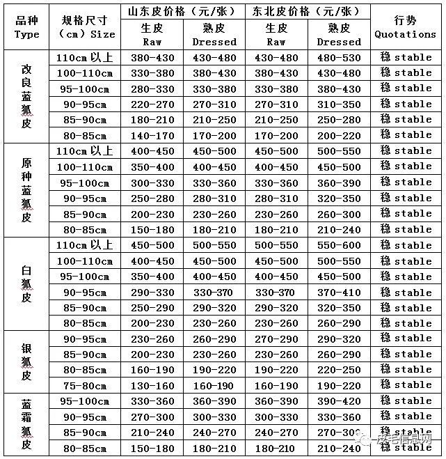 2024年12月2日 第32页