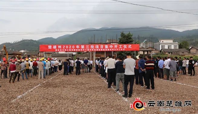 景宁县最新提拔名单，景宁县最新提拔名单公布
