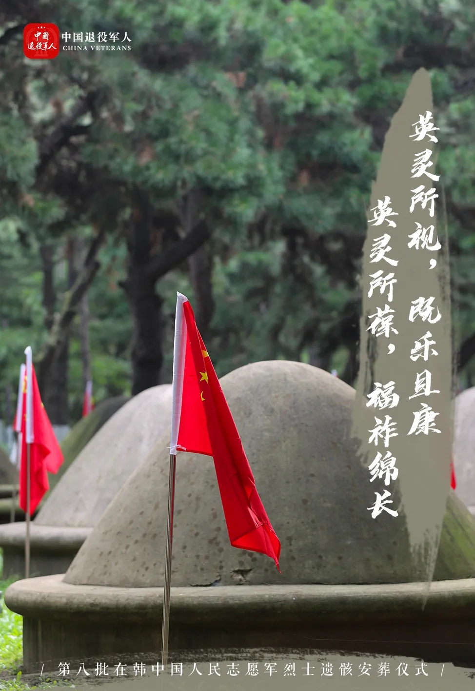 致敬英雄之魂，2021年志愿军祭文，致敬英雄之魂，纪念志愿军烈士的崇高颂歌（2021年祭文）