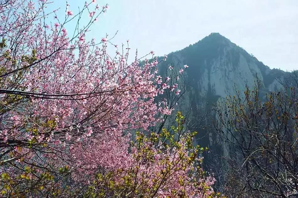 春风mv，春风拂面，爱意盎然——春风MV