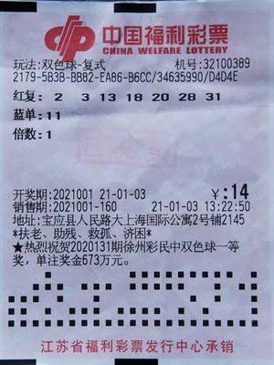 2024澳门天天开好彩大全香港，澳门香港彩票资讯需谨慎对待，警惕违法犯罪风险