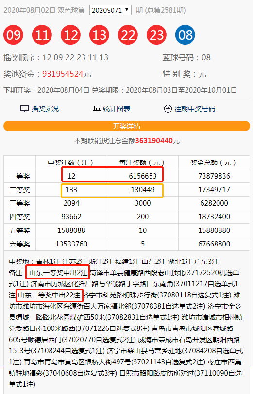 澳门一码中精准一码的投注技巧，澳门一码中精准投注技巧，警惕违法犯罪风险
