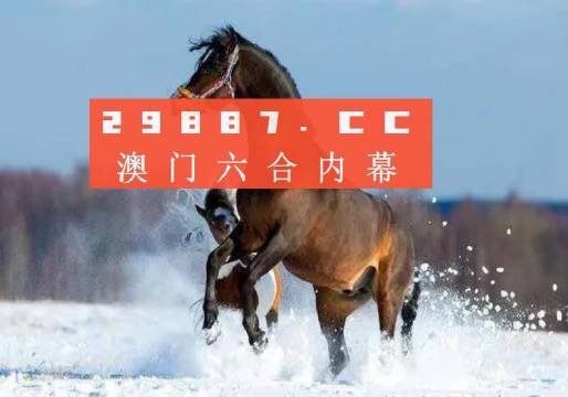 澳门一肖一码一必中一肖同舟前进，澳门一肖一码必中一精准预测，同舟前进共创辉煌