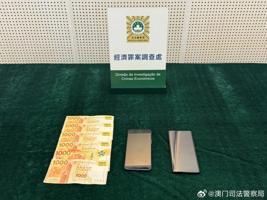 澳门天天开彩好正版挂牌2024，澳门天天开彩背后的犯罪问题，警惕正版挂牌与非法赌博的陷阱（2024年警示）