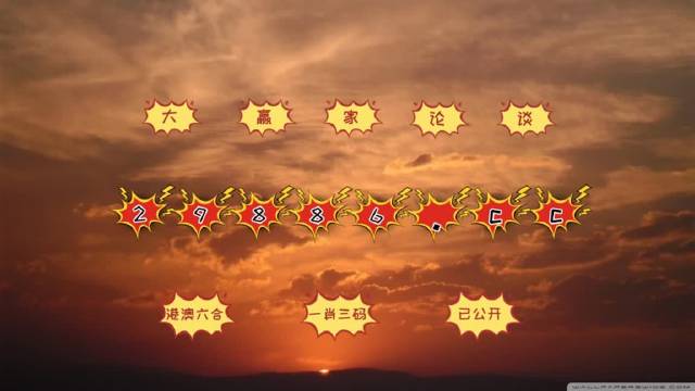 2024年12月5日 第13页