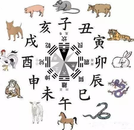 最准一肖一码100%噢，最准的生肖预测背后的真相：科学解读生肖文化的魅力与误区