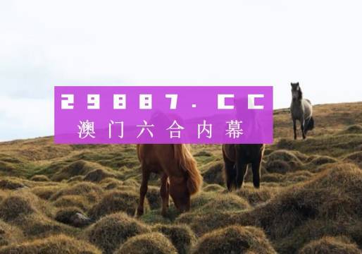 新澳门开奖结果2024开奖记录，澳门开奖结果记录 2024最新开奖记录回顾
