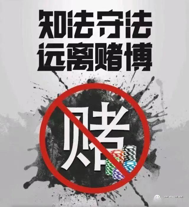 2024王中王资料一肖中v，警惕“2024王中王资料一肖中”：认清赌博风险，远离非法行为