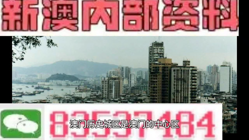 澳门免费资料大全网络要保存，澳门免费资料大全网络警示：警惕赌博风险，维护网络安全与社会秩序