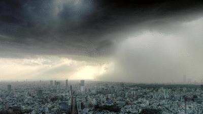 2024年12月6日 第17页