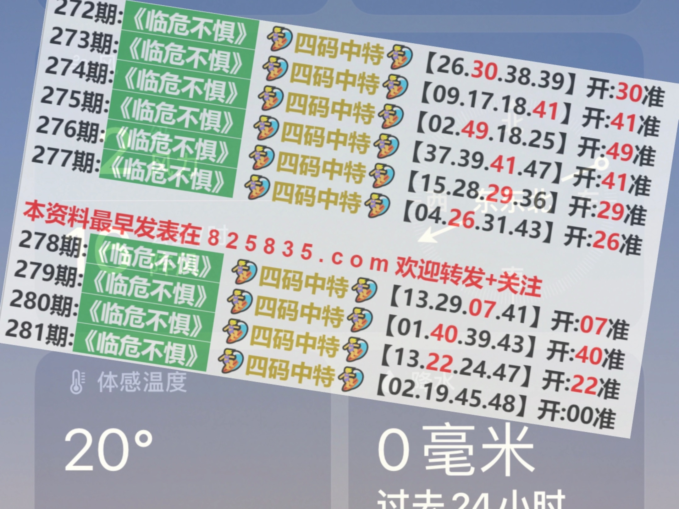 2024年12月8日 第116页