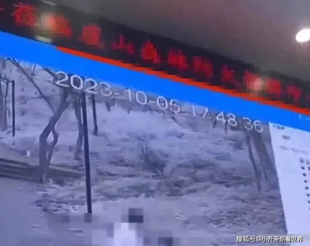 澳门现场开奖开奖直播视频，澳门直播现场开奖视频，揭示违法犯罪问题内幕