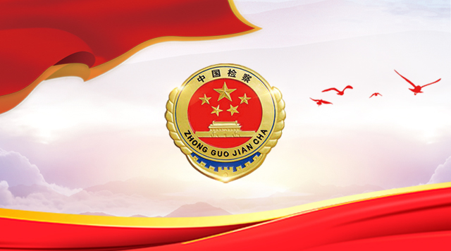 最新成立的领导小组，政策解读与未来展望，探索未来，最新领导小组政策解读与前瞻性展望