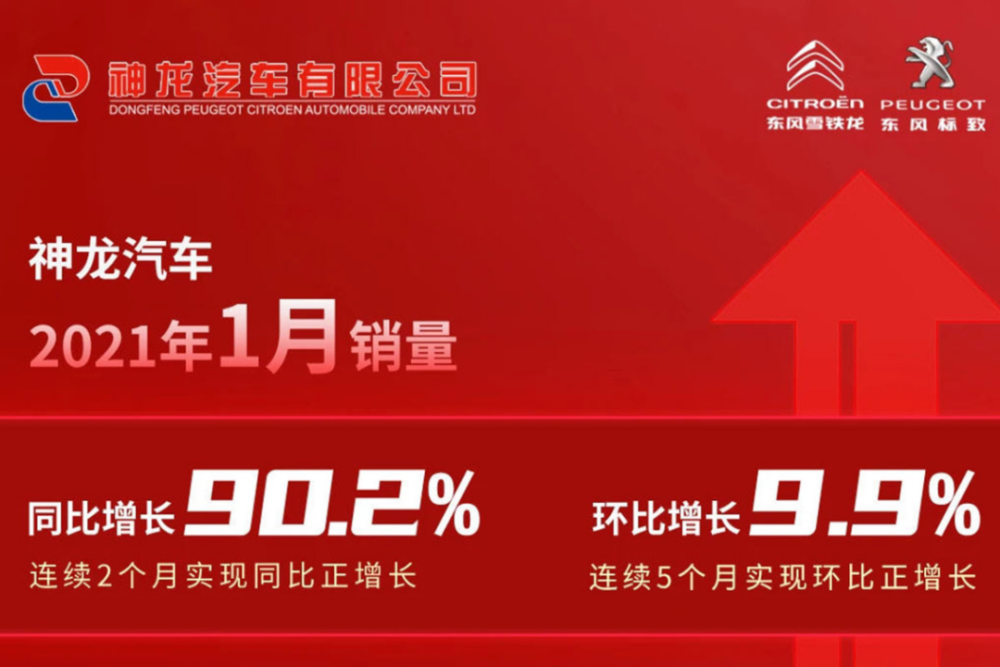 新奥彩资料长期免费公开，新奥彩资料长期公开四大生肖