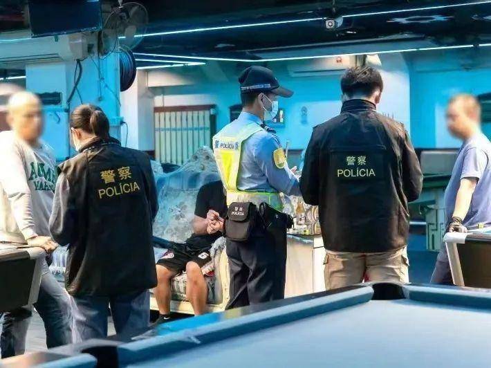 澳门王中王100%的资料2024，澳门王中王资料揭秘，揭秘犯罪行为的警示与警示背后的真相（2024年）