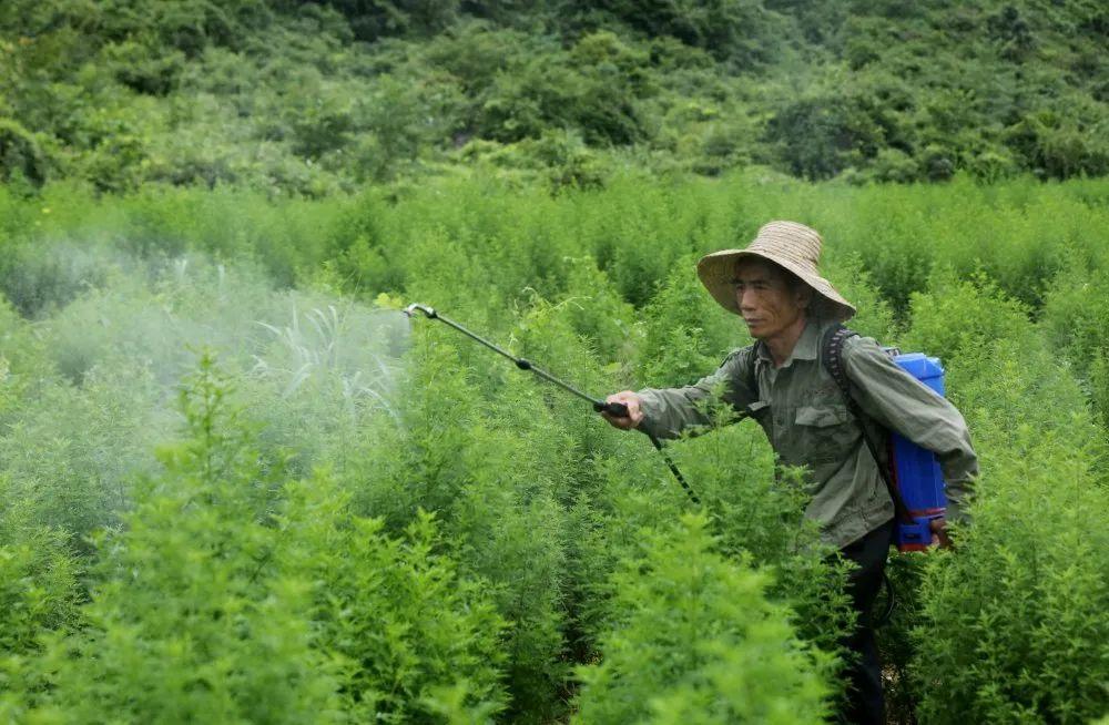 扶贫app软件最新版，智慧扶贫利器，最新版扶贫APP软件全面上线