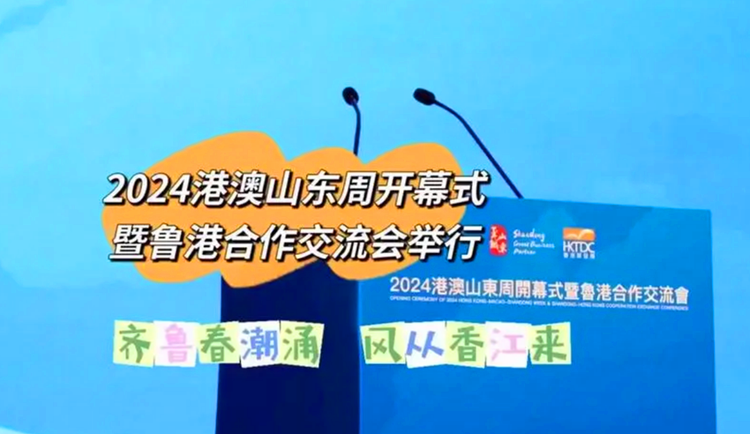 香港2024正版免费资料，香港2024正版免费资料大揭秘
