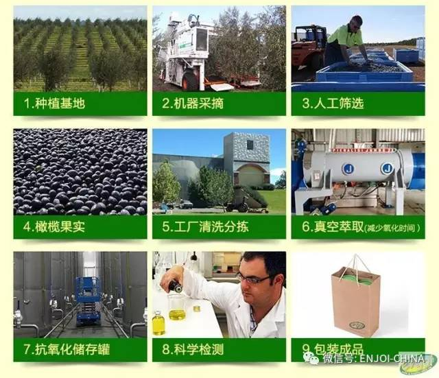 新澳2024年精准特马资料，笔墨传神HubSpot1.4.3277