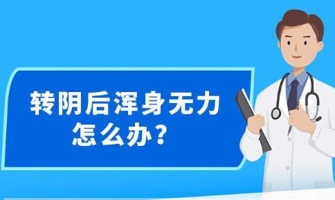新澳精准资料免费提供网站有哪些