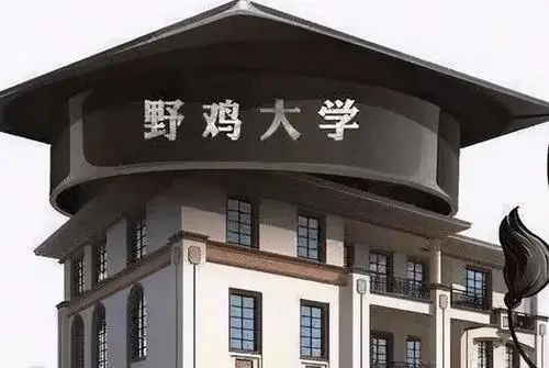 2024正版资料免费公开，揭秘，独家正版资料提前曝光，2024年免费公开！