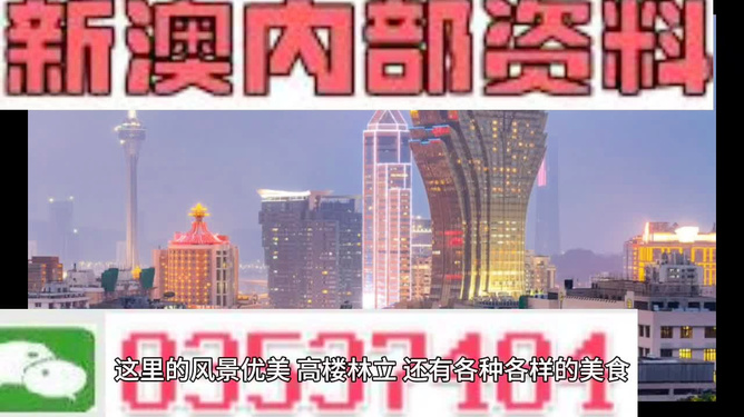新澳门最精准正最精准龙门，澳门犯罪警示，精准龙门背后的真相与风险揭露