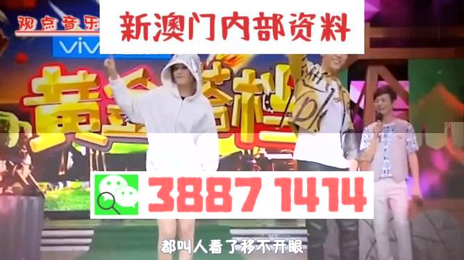 2024新澳门全年九肖资料，关于澳门非法赌博活动的警示与揭露，警惕2024新澳门全年九肖资料骗局