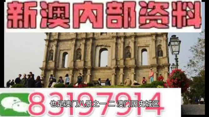 澳门最精准正最精准龙门，澳门最精准正龙门犯罪揭秘