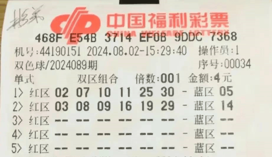 2024年新澳门开奖号码，澳门彩票预测与未来开奖号码展望