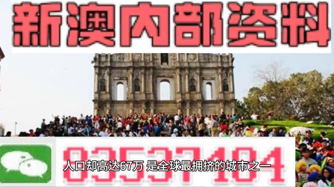 新澳门正版免费大全，澳门正版资料免费公开，警惕犯罪风险