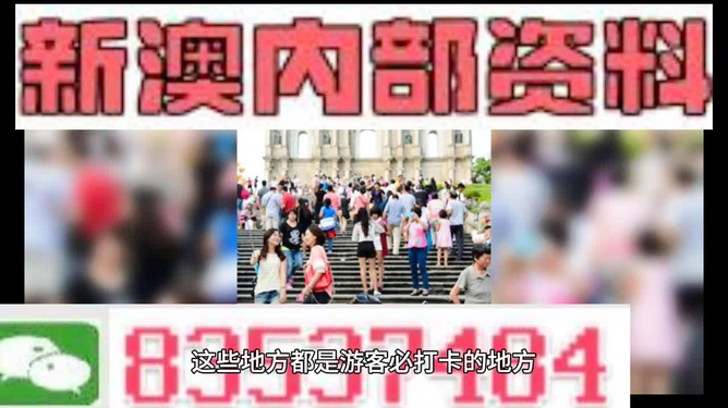 新澳精准资料期期精准，新澳精准资料期期精准背后的犯罪风险警示