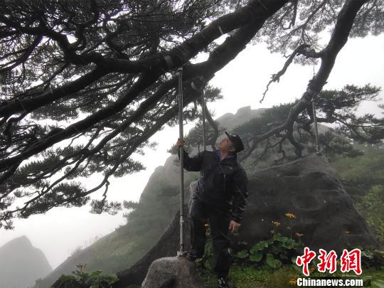 台风黄山最新信息，今天最新动态及应对措施详解，台风黄山最新动态，今日实时信息与应对措施全解析