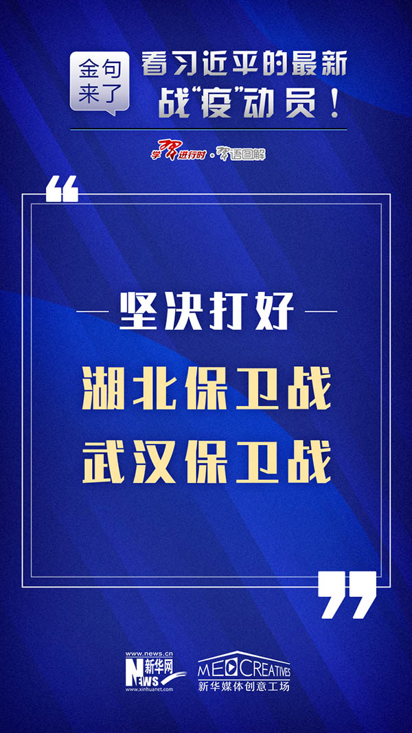 管家婆资料精准一句真言，管家婆精准资料，一句真言揭秘