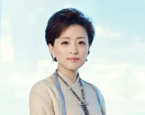 杨澜最新恋情揭秘，爱情如歌，岁月静好，杨澜新恋情曝光，岁月静好，爱情如歌