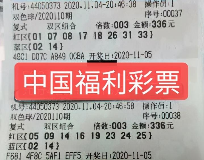 澳门一码中精准一码的投注技巧，澳门一码中精准投注技巧，警惕违法犯罪风险