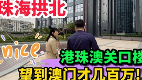 2024澳门天天开好彩大全65期，澳门天天开好彩背后的犯罪风险警示