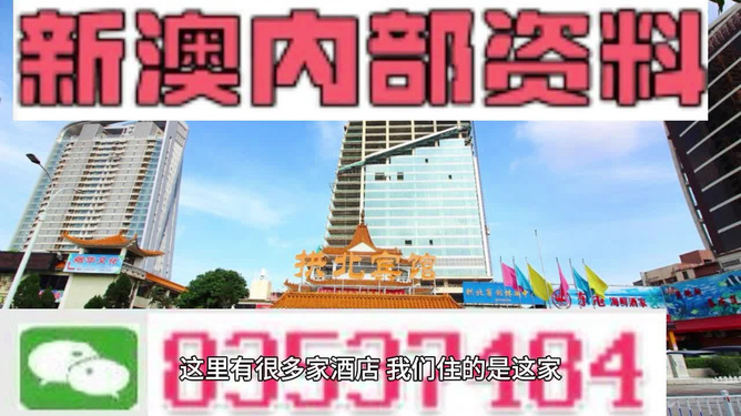 新澳门精准资料大全管家婆料，澳门精准资料大全揭秘，管家婆料背后的风险与警示