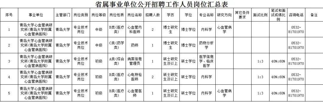 青岛市最新招聘信息，青岛招聘速递，最新岗位汇总发布