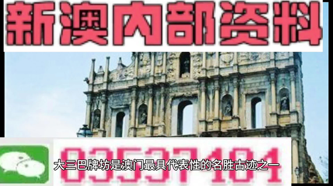 新澳2024年精准正版资料，新澳2024年精准正版资料背后的犯罪风险警示