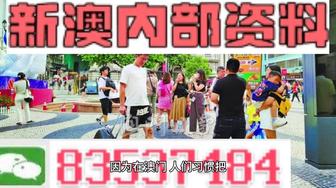 新澳门2024年正版免费公开，澳门犯罪警示，警惕免费陷阱，切勿触碰法律红线