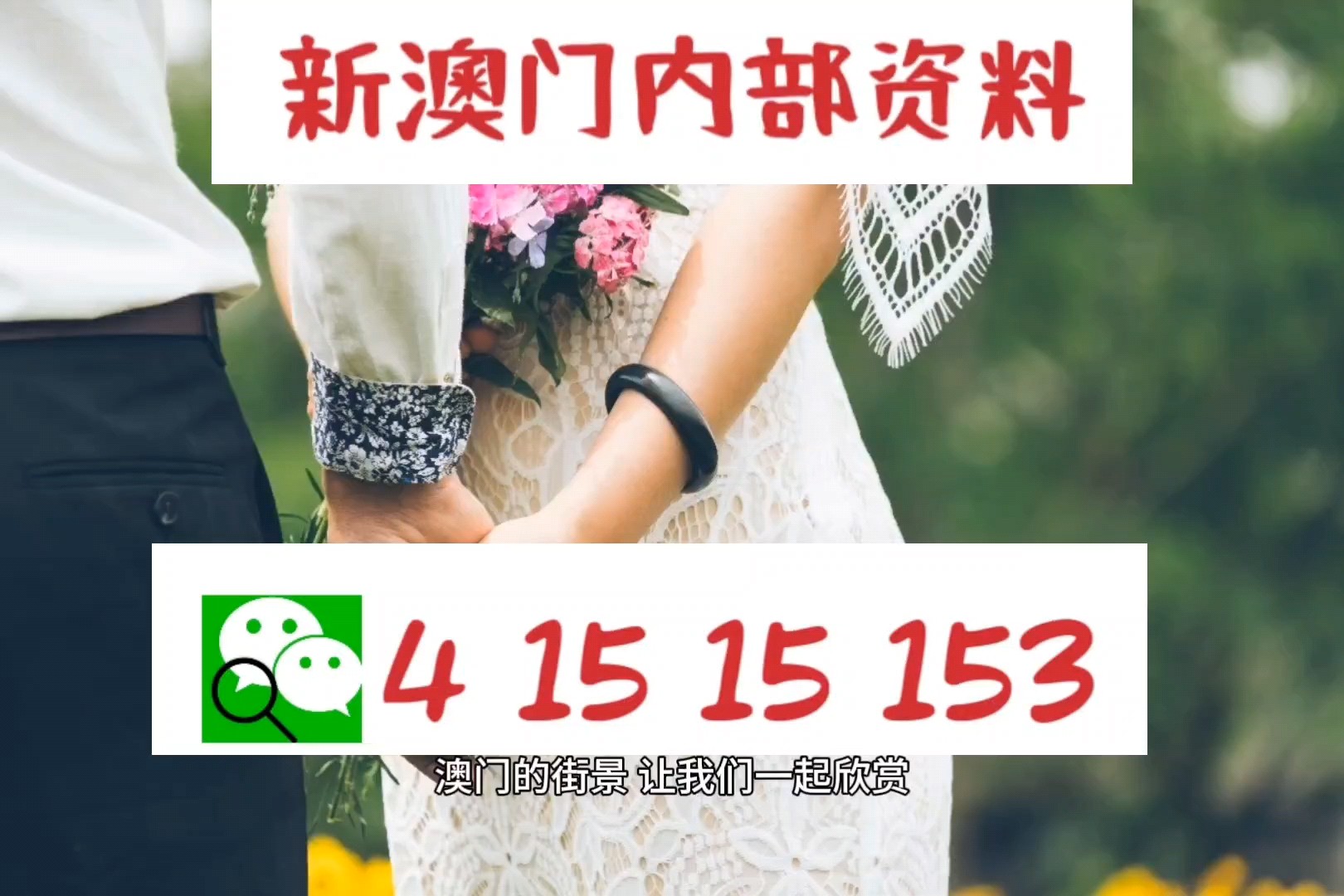 新澳门正版免费大全，澳门正版资料免费公开，警惕犯罪风险