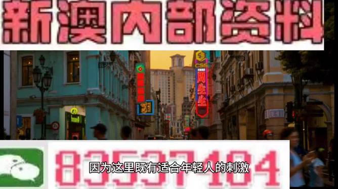 新澳内部资料精准大全，新澳内部资料精准大全背后的犯罪隐患揭秘
