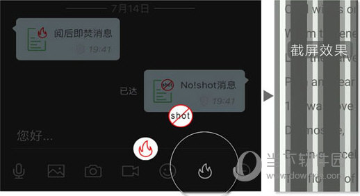 管家婆204年资料一肖配成龙，管家婆204年资料揭秘，一肖配成龙传奇