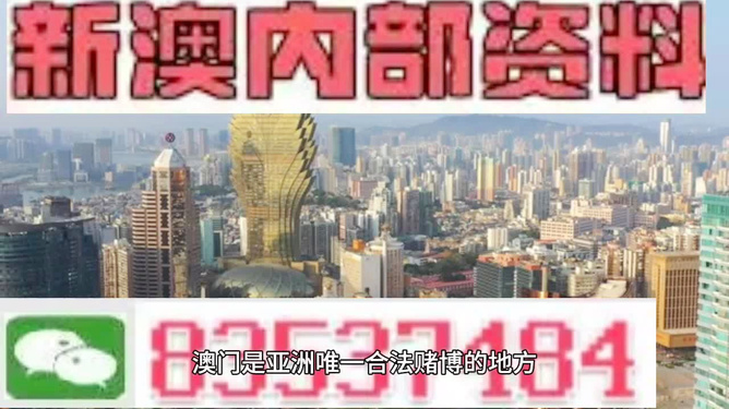 4949澳门精准免费大全2023，关于澳门精准免费大全的犯罪警示，警惕风险，切勿参与非法赌博活动