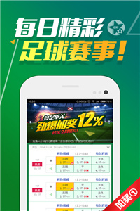 2024澳门天天开好彩大全正版优势评测，澳门正版优势评测，揭秘天天开好彩背后的风险与挑战